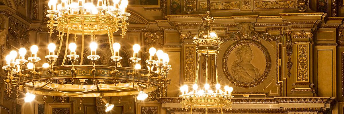 state opera vienna tours