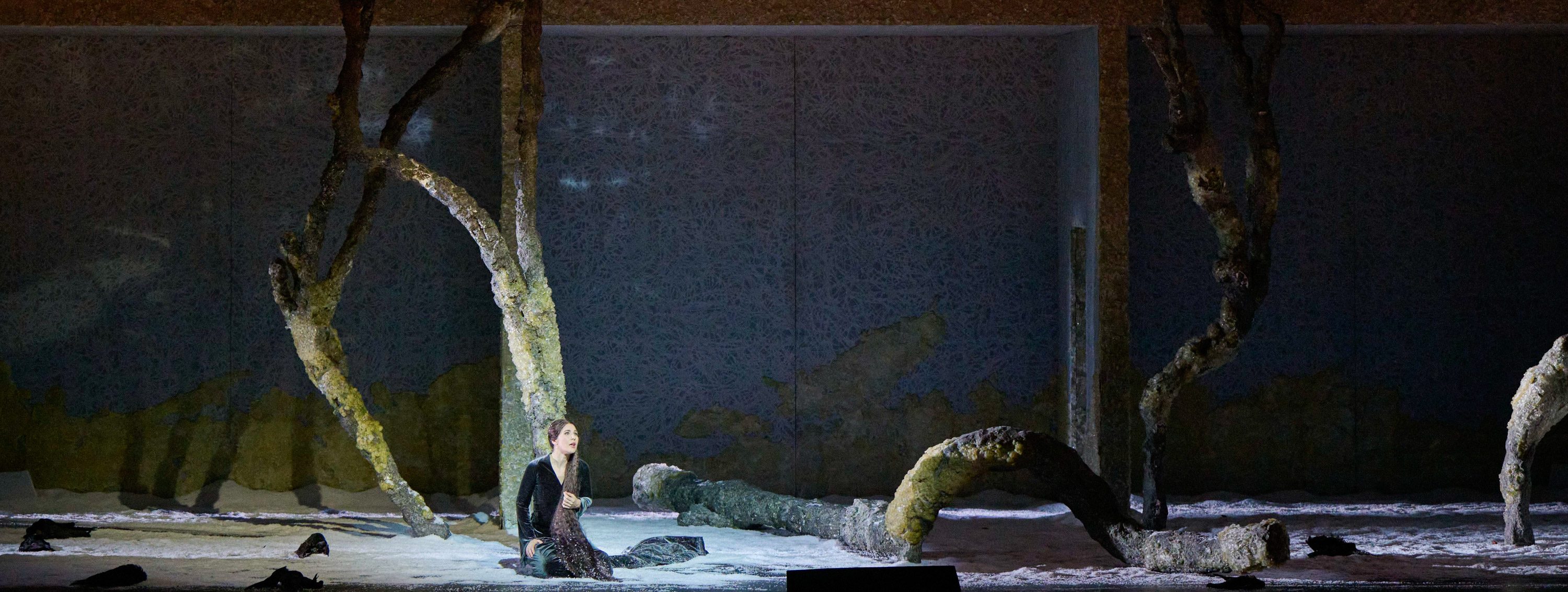 Eine Frau sitzt auf einer frostigen Bühne, umgeben von verwitterten Baumstämmen und einer sanften, schneebedeckten Landschaft. Ihr Blick ist nachdenklich, während sie in einem dramatischen, künstlerischen Setting verweilt. Der Hintergrund ist schlicht und verstärkt die emotionale Atmosphäre der Szene.